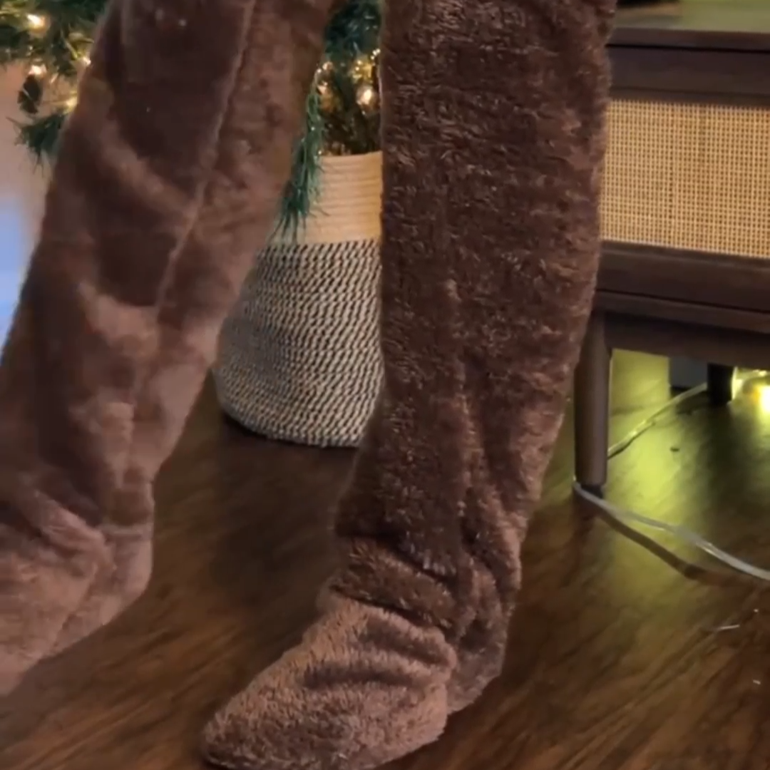 Aurora | Winter Comfort